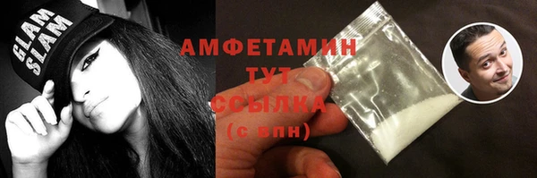 мет Алексин
