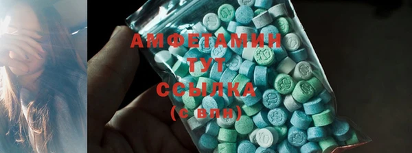 мет Алексин