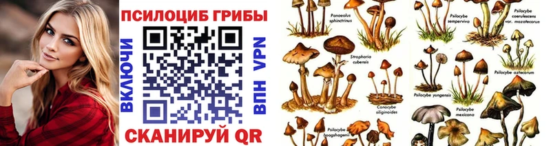 Галлюциногенные грибы Magic Shrooms  Зеленоградск 